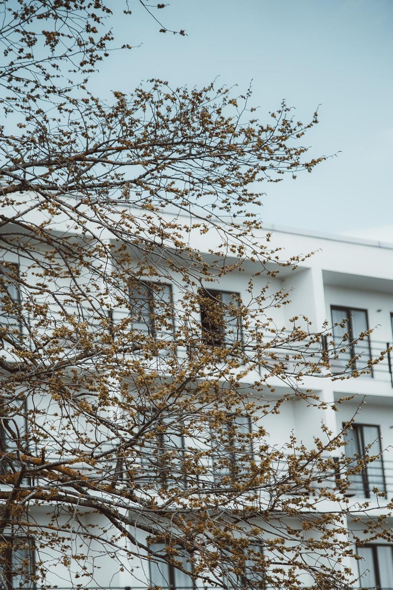Oe Seaside Suites & Spa Kuressaare Kültér fotó